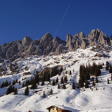 Appartementhaus Hochkoenig 1- Birgkar Mühlbach am Hochkönig Zewnętrze zdjęcie