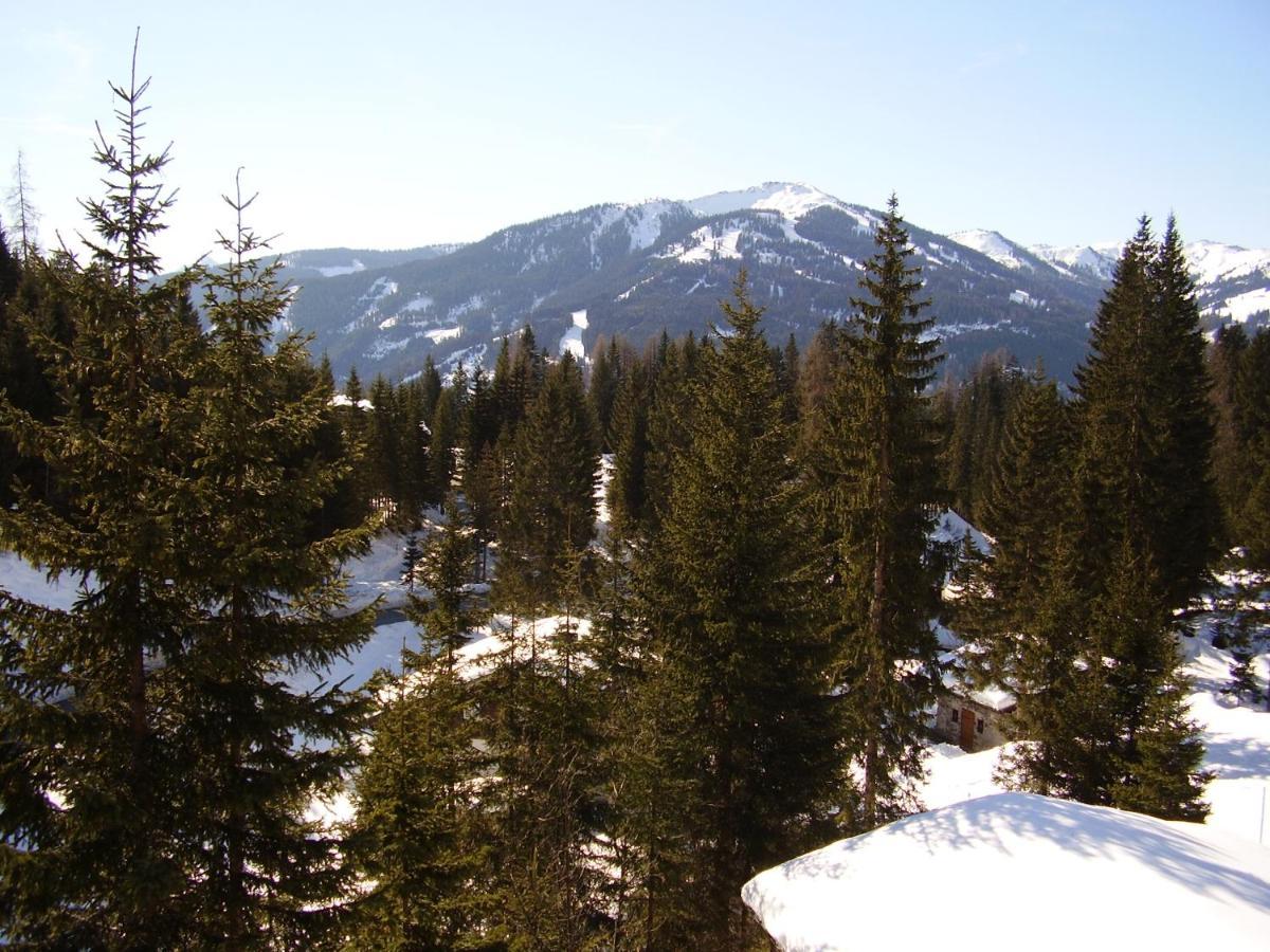 Appartementhaus Hochkoenig 1- Birgkar Mühlbach am Hochkönig Zewnętrze zdjęcie